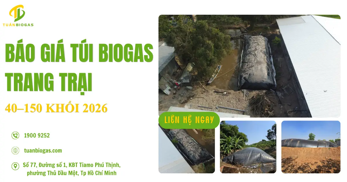 Báo Giá Túi Biogas Trang Trại 40–150 Khối 2026 Và Quy Trình Thi Công